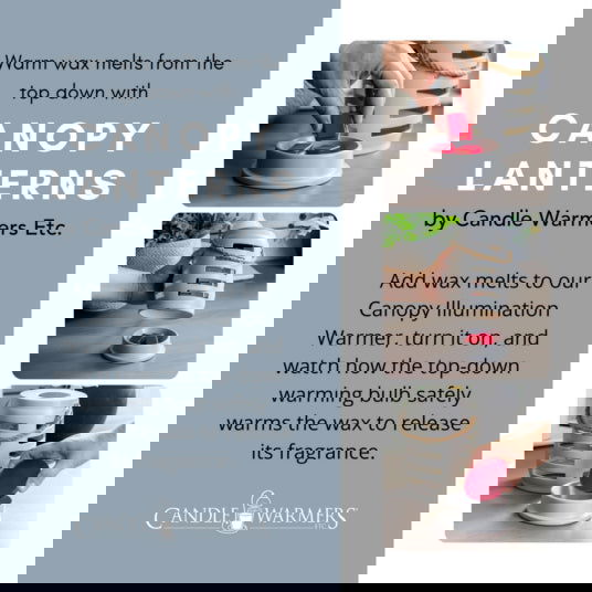 Ceramic Illumination Tart Wax Warmer - Trellis Canopy